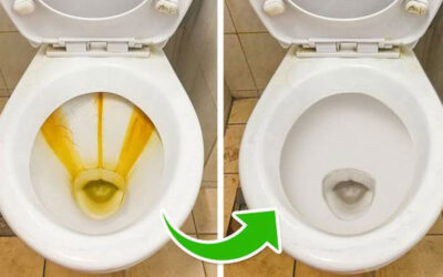 Odličan recept za čišćenje WC školjke?