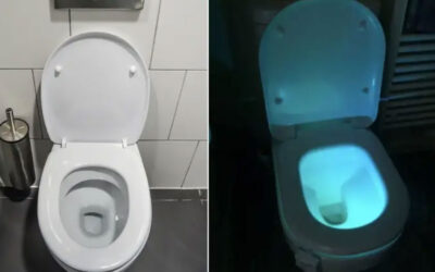 Svjetlo za WC školjku pravi je hit!