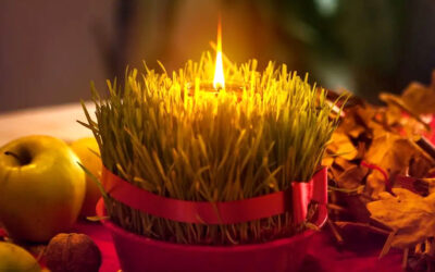 Patak-O prigodno: Simbolika sijanja pšenice kao i savjeti kako da izraste gusta i lijepa.