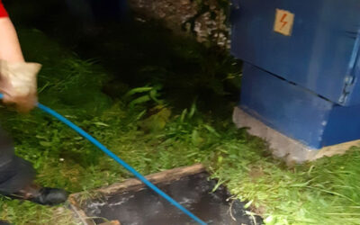 Neustrašivi Patak-O tim!